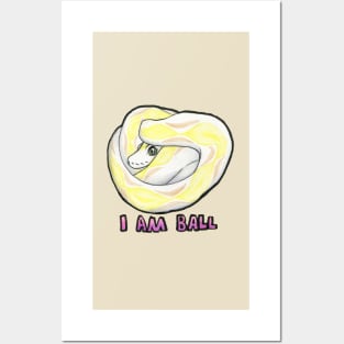 I Am Ball Pastel Python Posters and Art